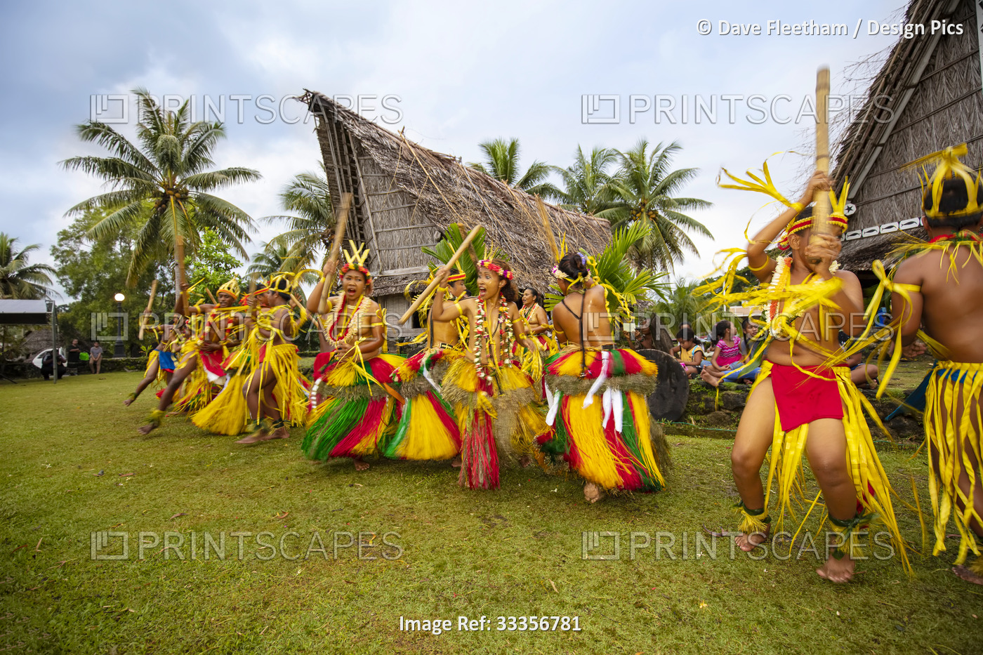 This group of young Yapese dancers are in a traditional outfits and performing ...