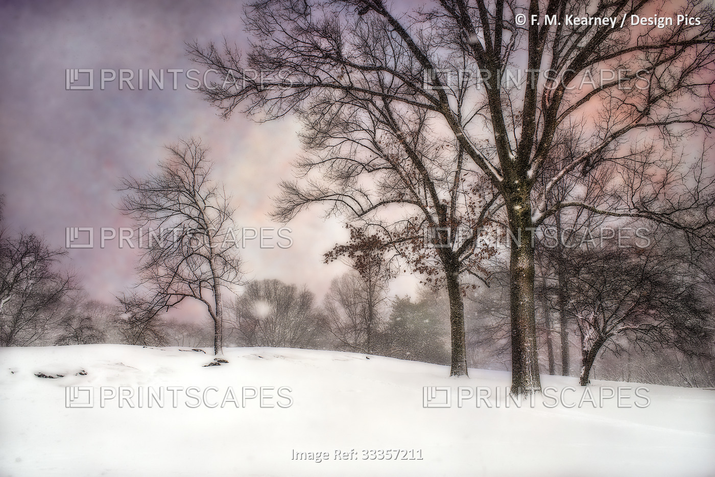Blizzard conditions in Central Park; New York City, New York, United States of ...