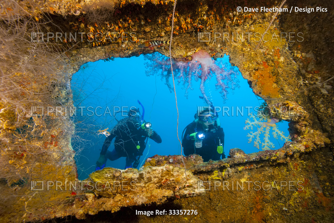 Divers looking into a large wreck with coral growth; Palau, Federated States of ...