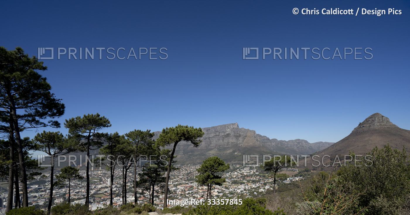 Looking down through the trees from Signal Hill Park at an overview of the Cape ...