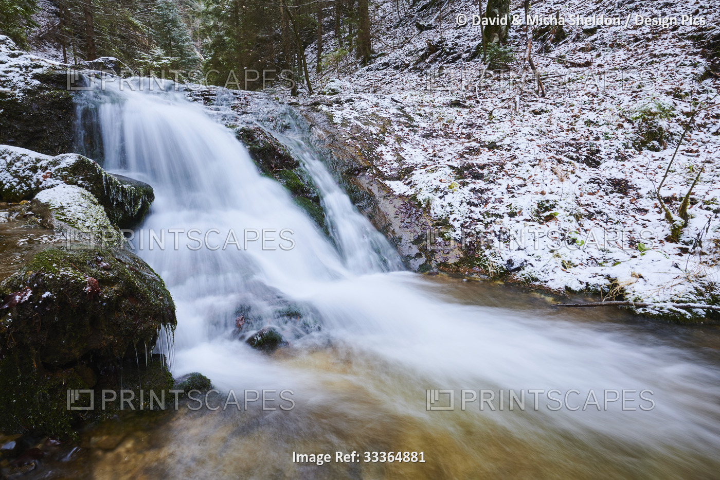Snowy waterfall with rushing cascade at Janosikove Diery in winter; Little ...