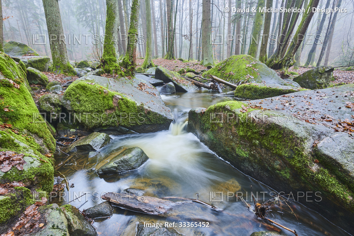 A stream flowing through the forest at Hollental Nature Reserve;  Bavaria, ...