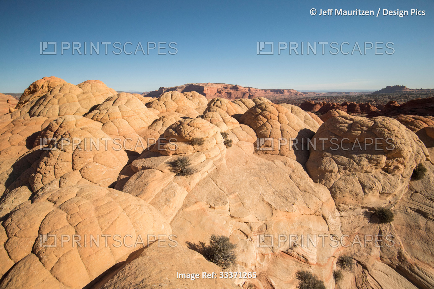 Brain rocks, sandstone formations located in Coyote Buttes North, Paria Canyon, ...