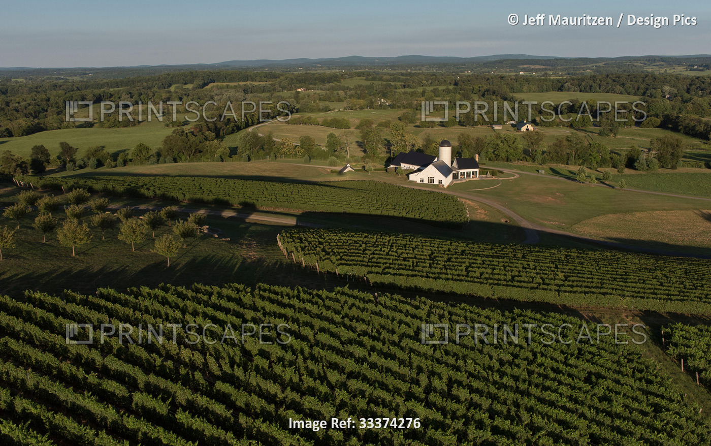 Aerial view of a winery in the State of Virginia, USA; Delaplane, Virginia, ...