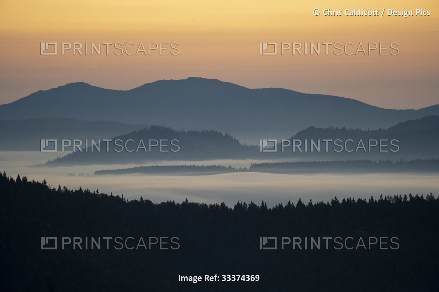 Dawn over the Carpathian Mountains near Tasuleasa Social NGO for the Via ...