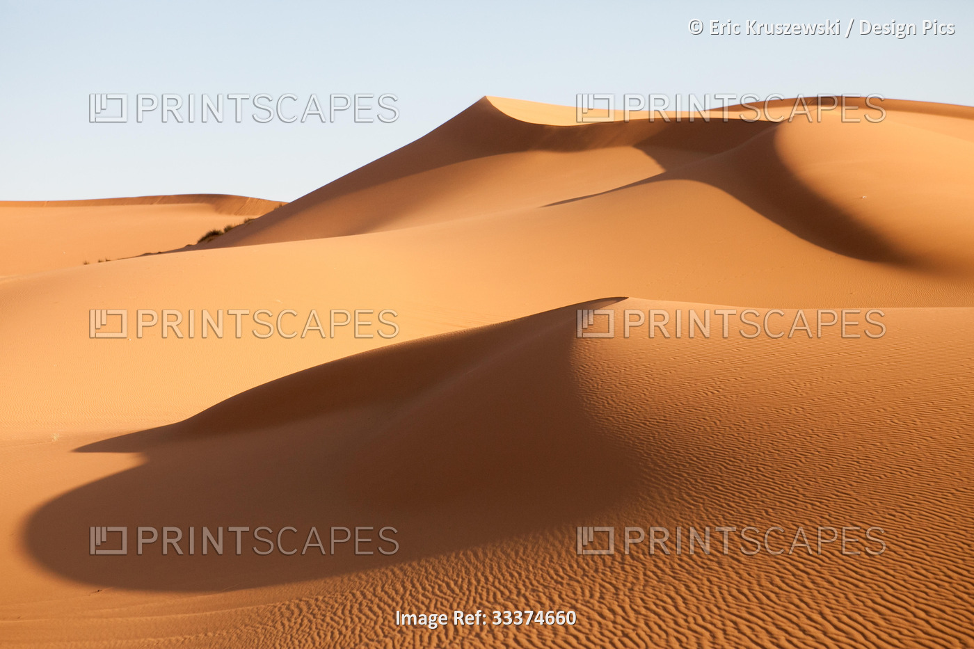Sand dunes in the Sahara desert are illiminated in soft light.; Erg Chebbi , ...
