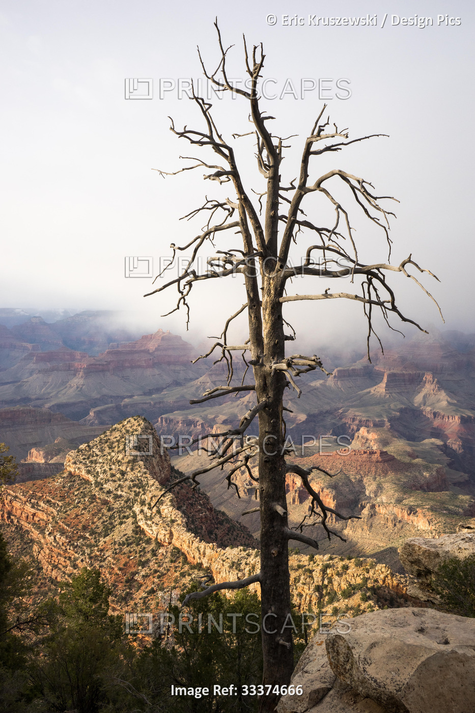 A view of The Grand Canyon from Grandview Point.; Grand Canyon National Park, ...