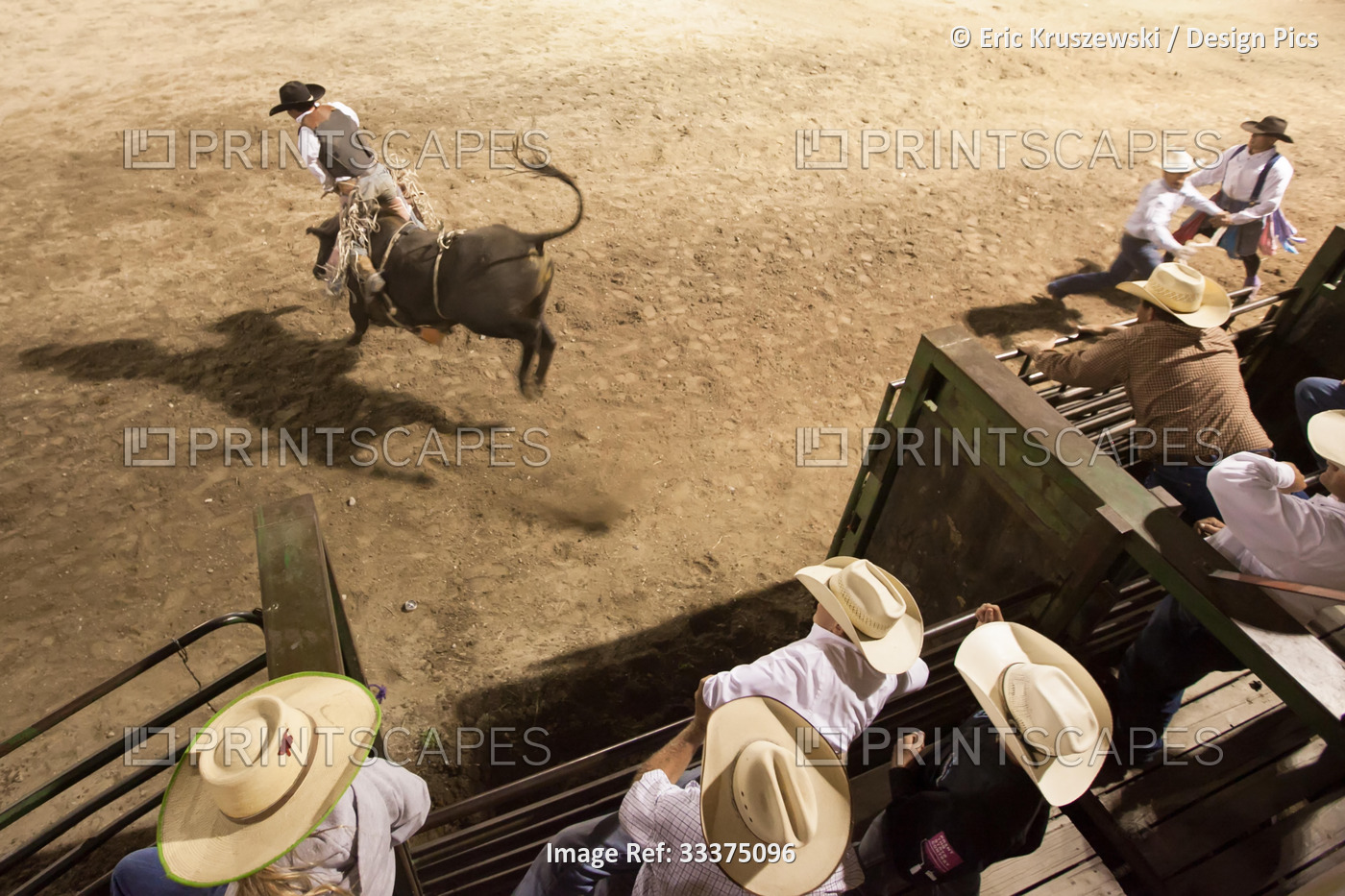 Several cowboys watch a bucking bull rider at a small rodeo event.; Deer Lodge, ...