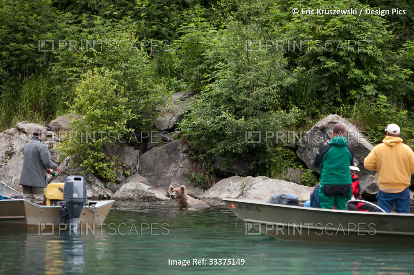 Several fishermen in boats observe and photograph an Alaskan brown grizzly bear ...