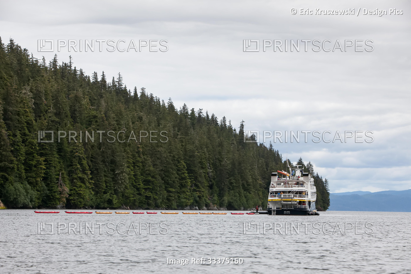 Near a tree lined mountain, an expedition cruise ship, collects kayaks from the ...