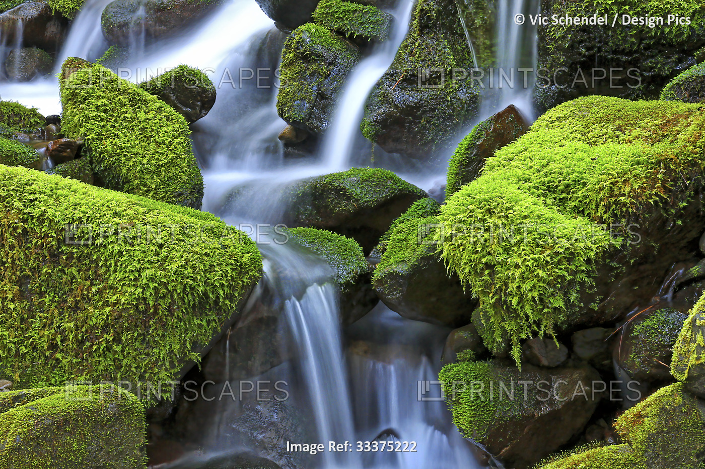 Close-up of moss-covered (Bryophyta) rocks with a cascading waterfall; Hawaii, ...
