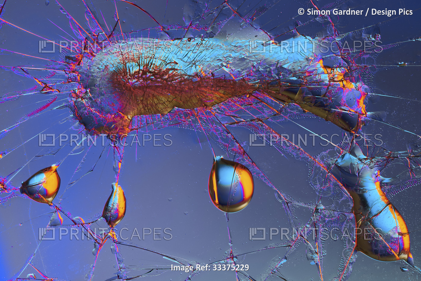 Vibrant coloured abstract with likeness of water droplets on a spider's web; ...