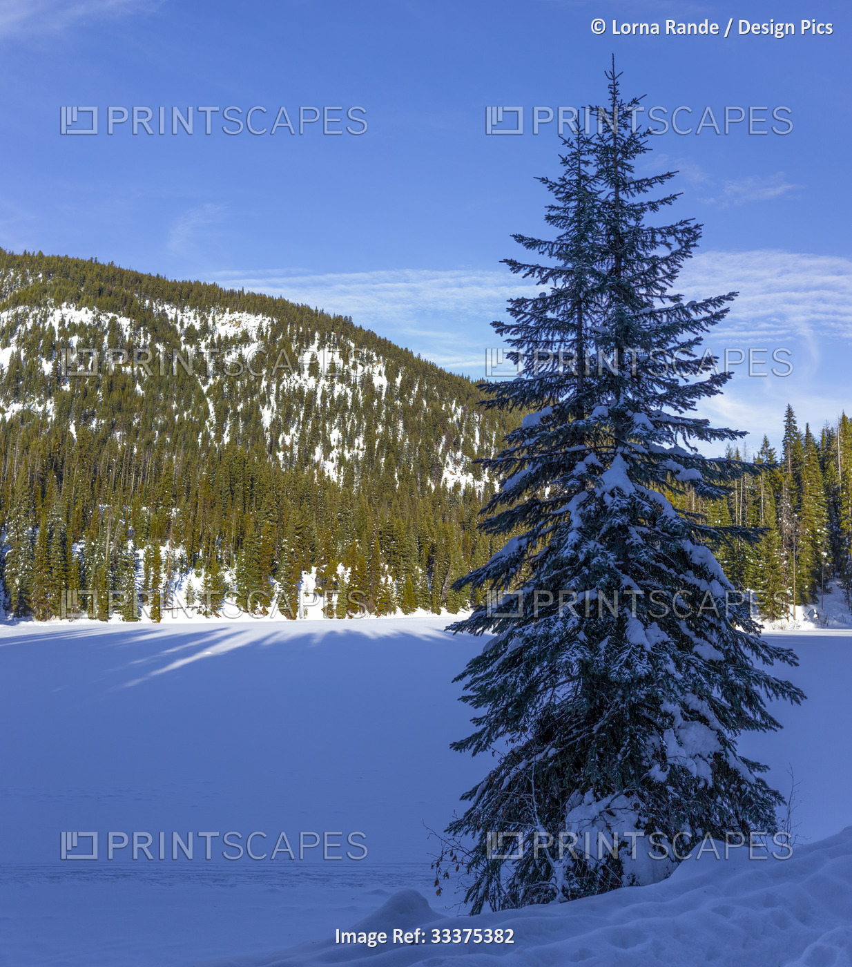 Bright sunlight over the mountains of E.C. Manning Provincial Park; British ...