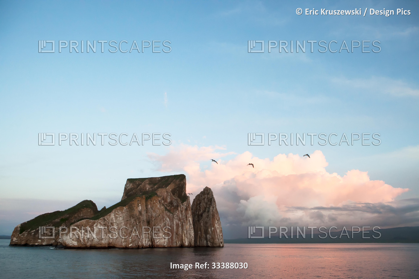 Birds flying near a rock formation in the Galapagos Islands.; Pacific Ocean, ...