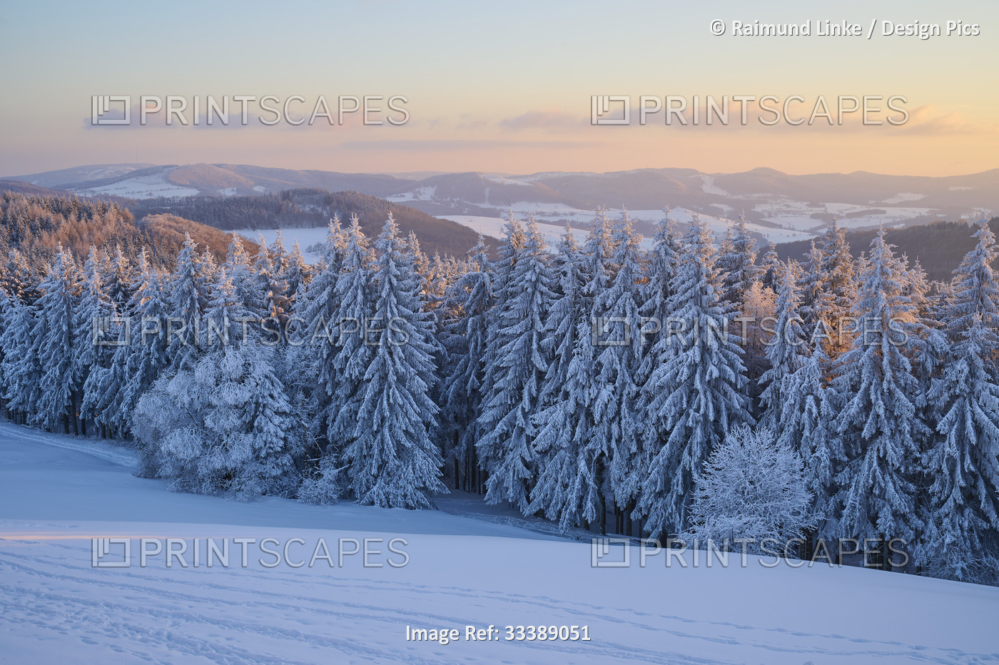 Winter landscape at sunrise, Wasserkuppe mountain, Rhon mountains; Gersfeld, ...