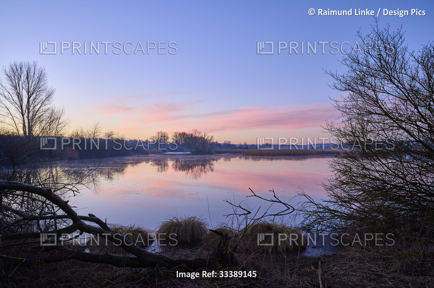 Reinheim pond at sunrise in a nature reserve; Reinheim, Hesse, Germany