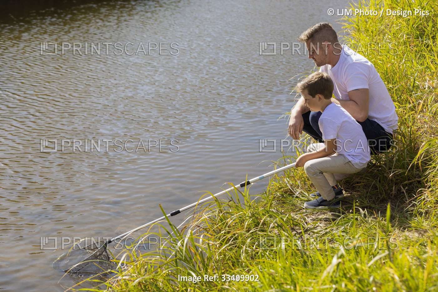 A father and son catching bugs in a stream in a city park during the fall ...