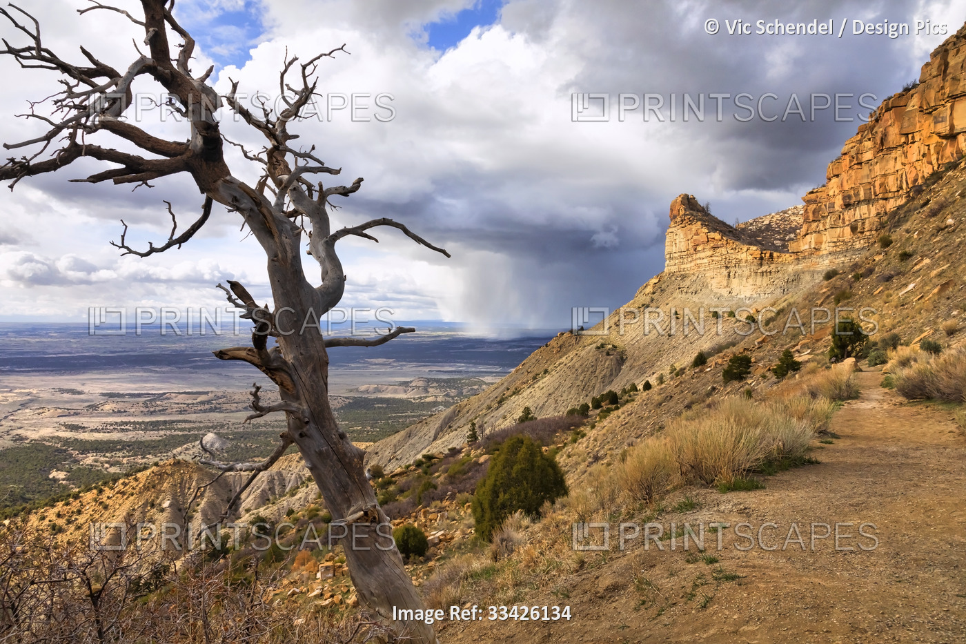 Bare tree on rocky mountainside with large rain clouds over the plains in the ...