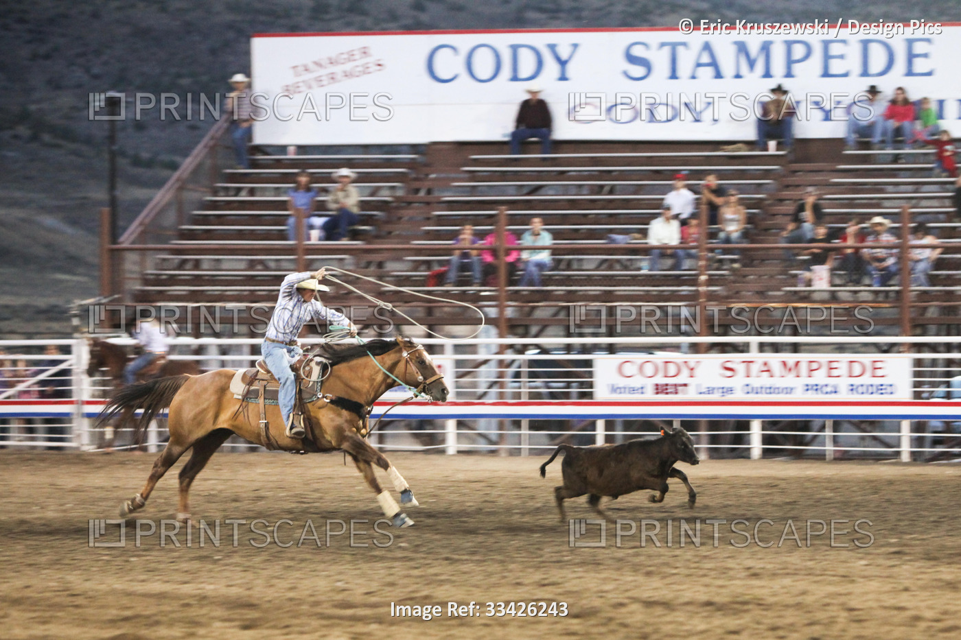 A cowboy rides a horse during the calf roping event at the Cody Stampede ...