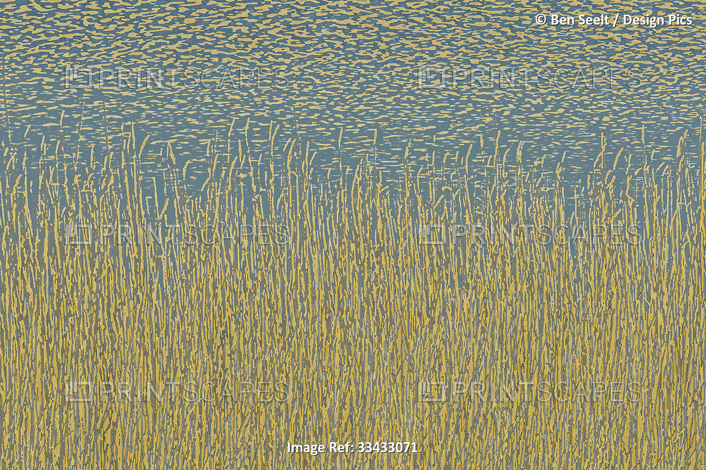 Impressionist art of water and reeds, Van Gogh style; Artwork