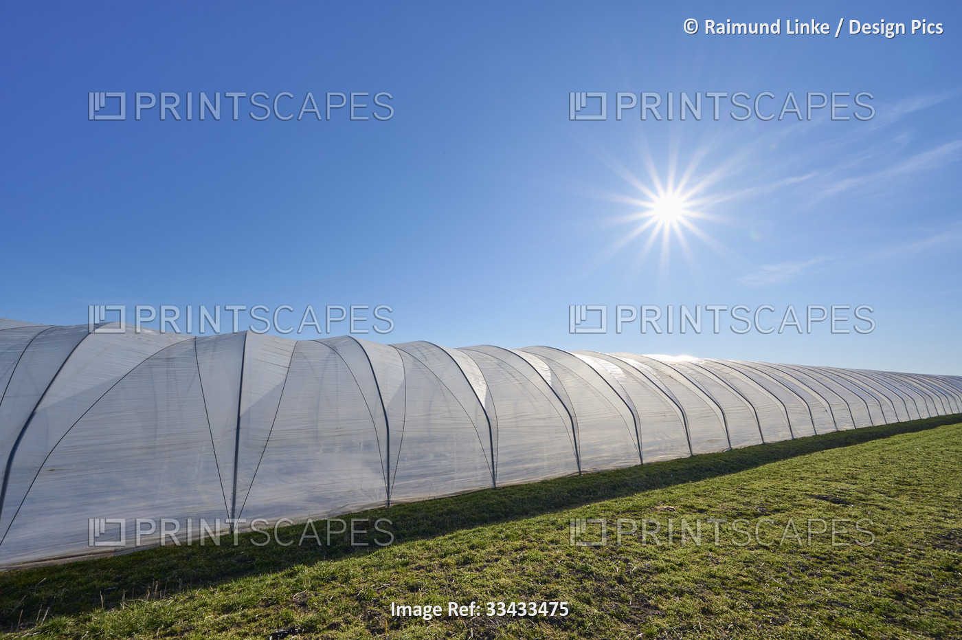 High tunnel greenhouse in a grass field with a blue sky and sunburst in spring; ...