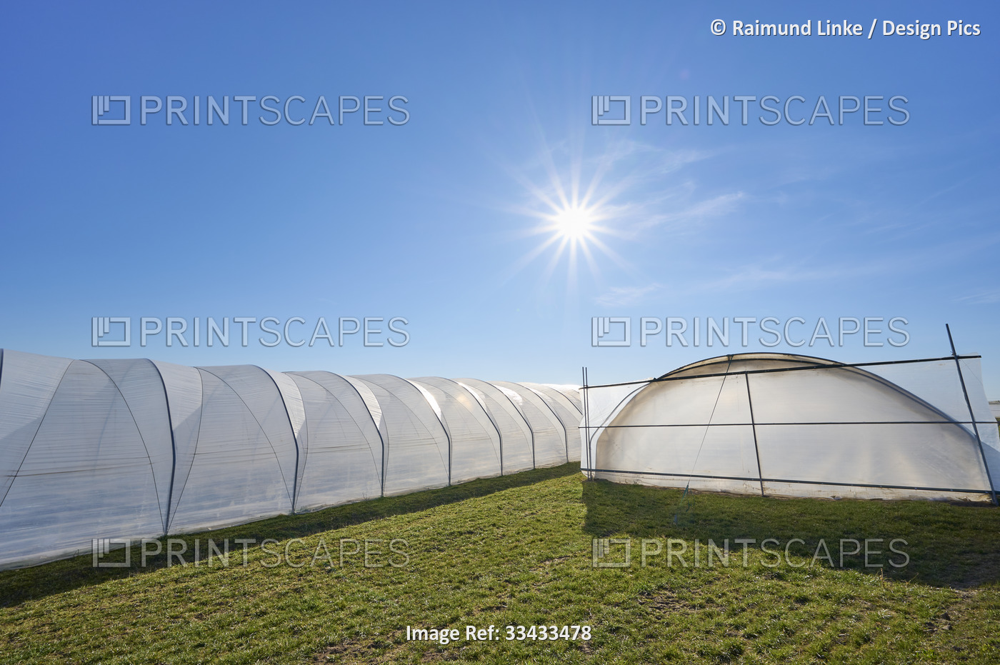 High tunnel greenhouses in a grass field with a blue sky and sunburst in ...