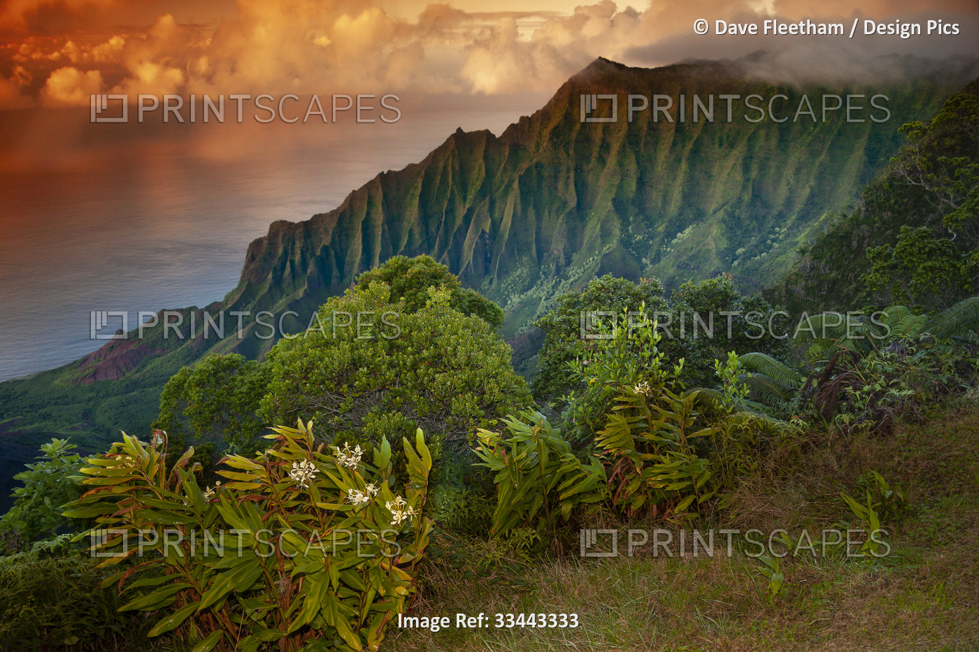 Landscape of Kalalau Valley at sunset, Na Pali Coast, Kauai, Hawaii, USA; ...