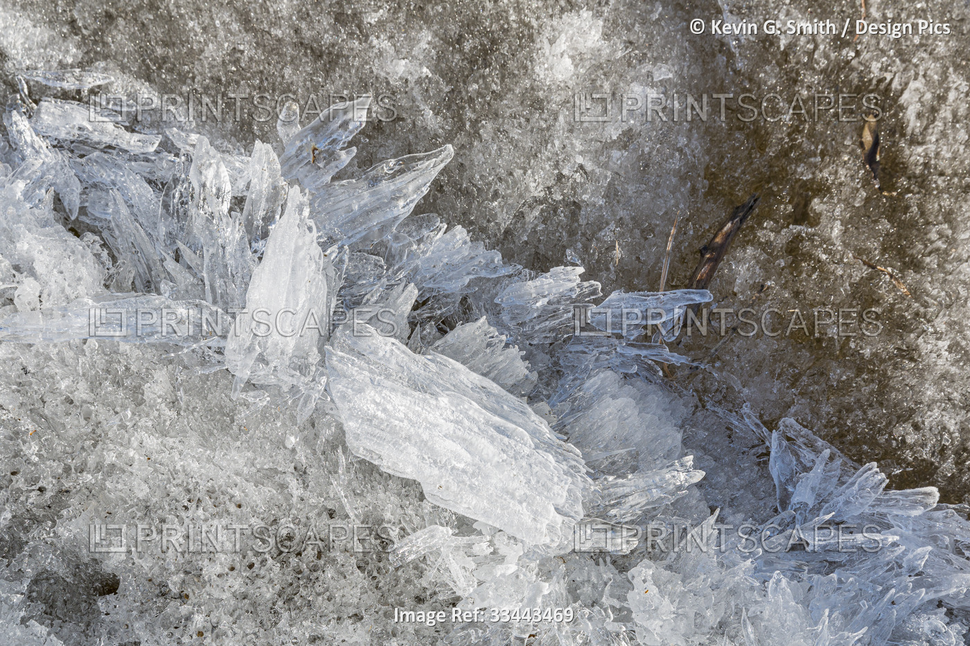Ice crystals and melting snow detail, Kobuk River; Northwestern Alaska, Alaska, ...