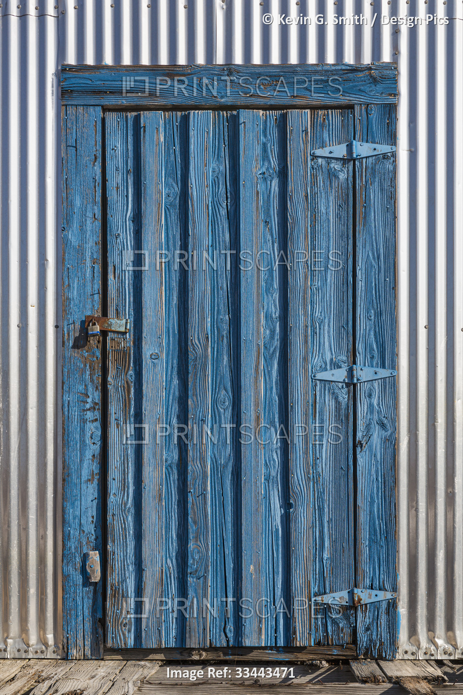 Close-up of a weathered blue shed door in Kobuk; Northwestern Alaska, Alaska, ...