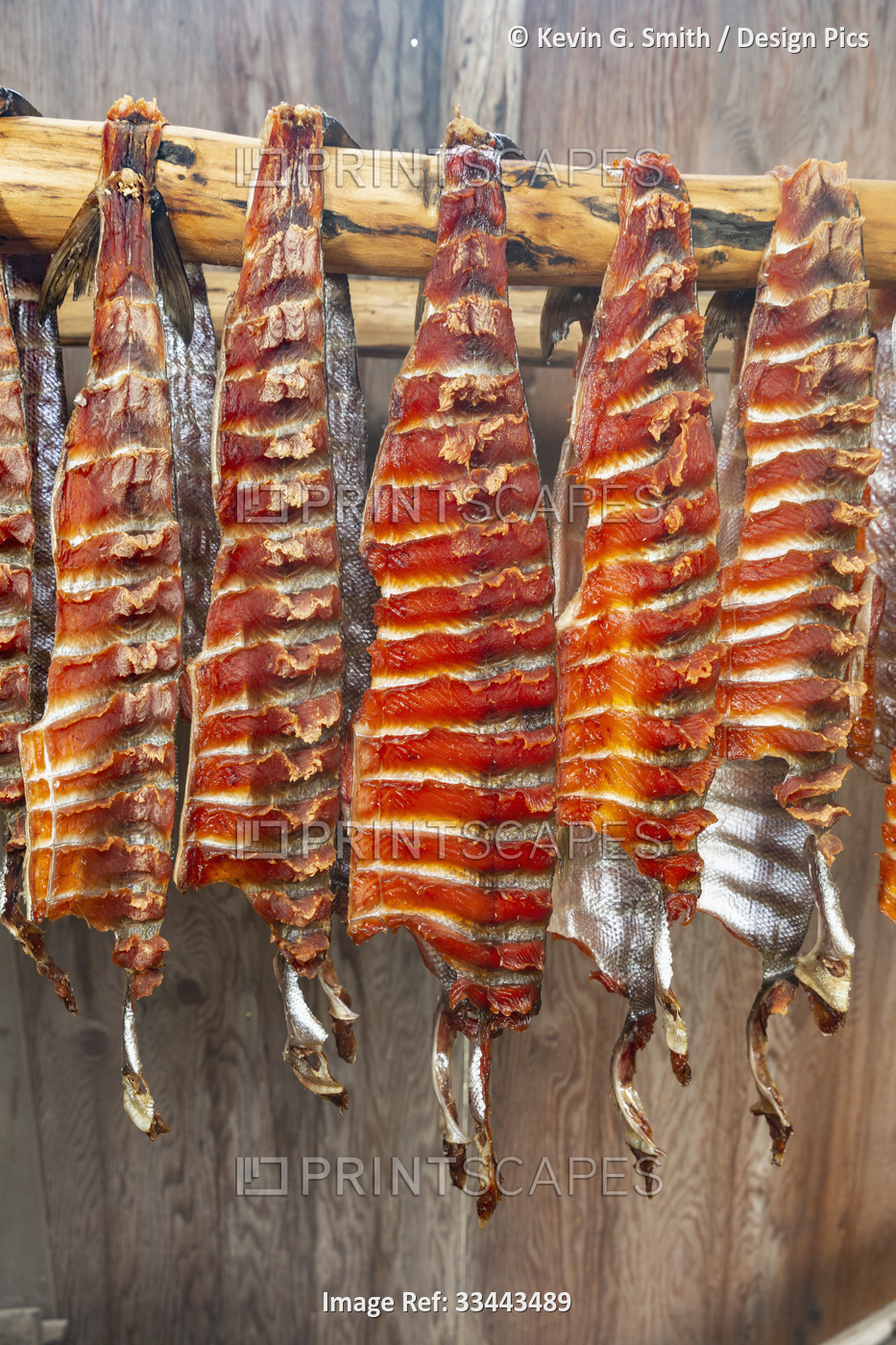 Close-up pink salmon hanging on a drying rack in a smoke house, Summer, Lower ...