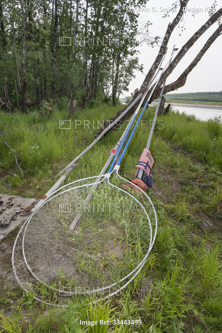Handheld fishnets and poles leaning against a tree trunk along the shore of the ...