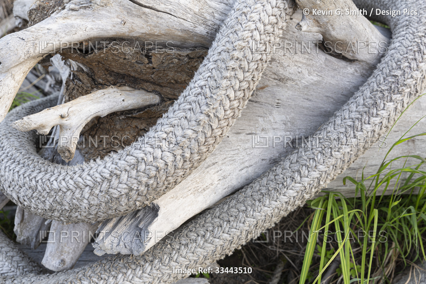 Close-up of weathered rope and driftwood in Summer, Lower Yukon River; Mountain ...