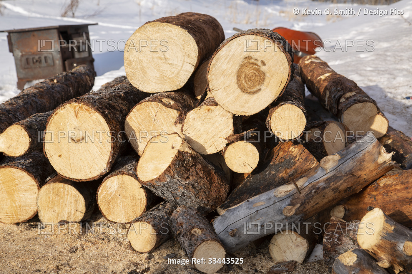 Close-up of woodpile of cut logs for firewood in winter; Kalskag, Southwestern ...