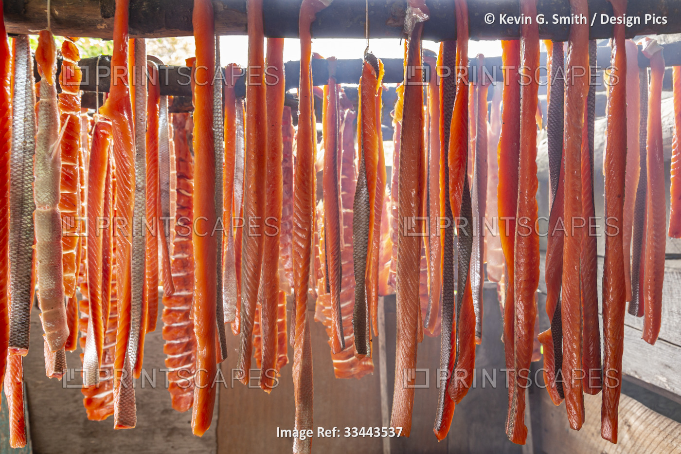 Filleted salmon strips hanging on a drying rack in a smoke house at a remote ...