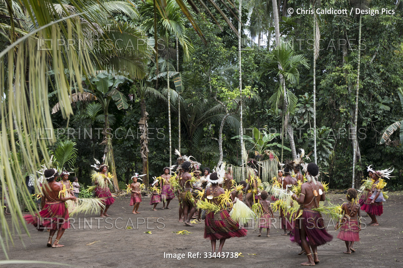Villagers performing traditional sing sing Melanesian tribal dance in in ...