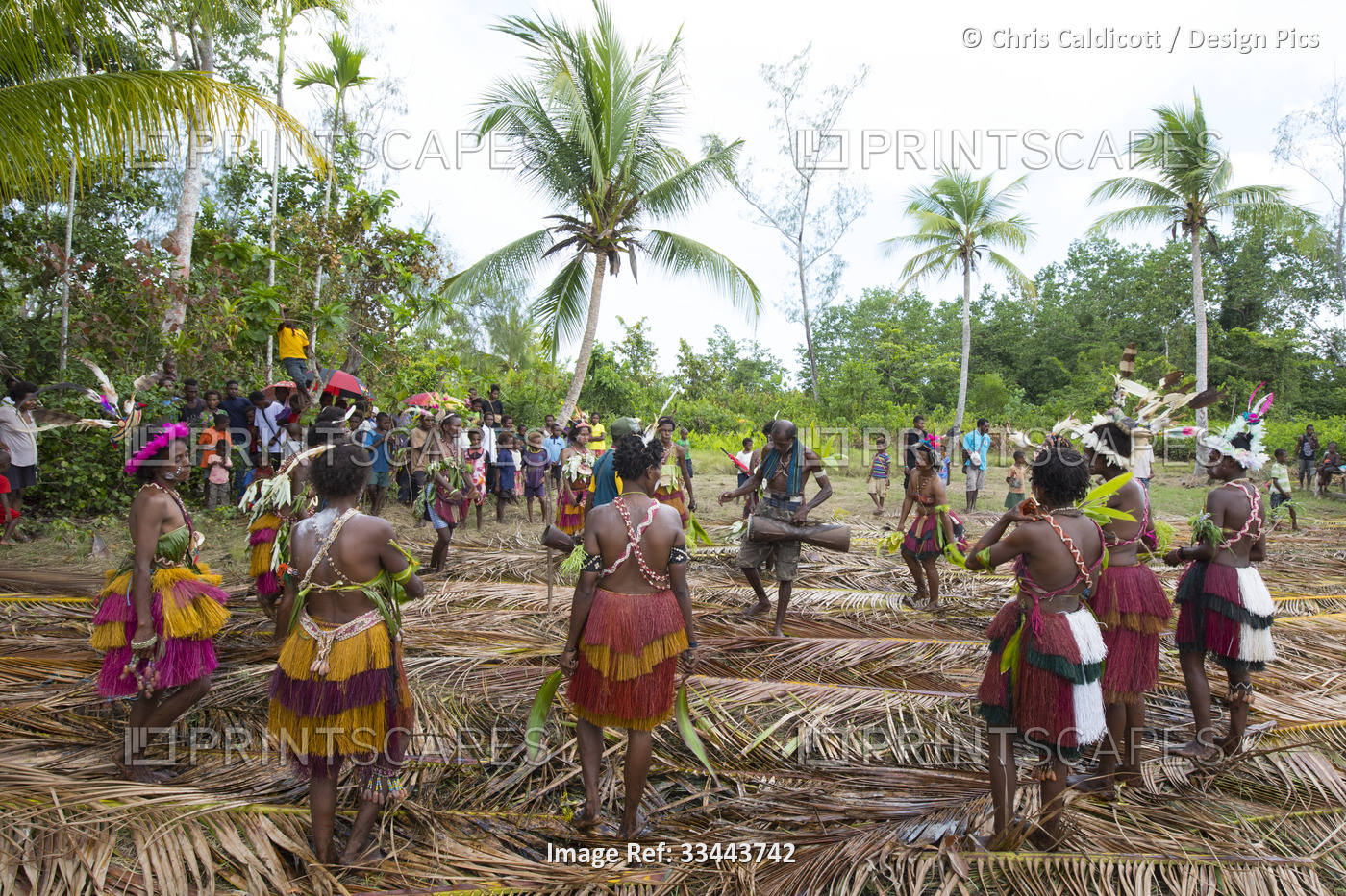 Villagers performing traditional sing sing Melanesian tribal dance in Mendam ...