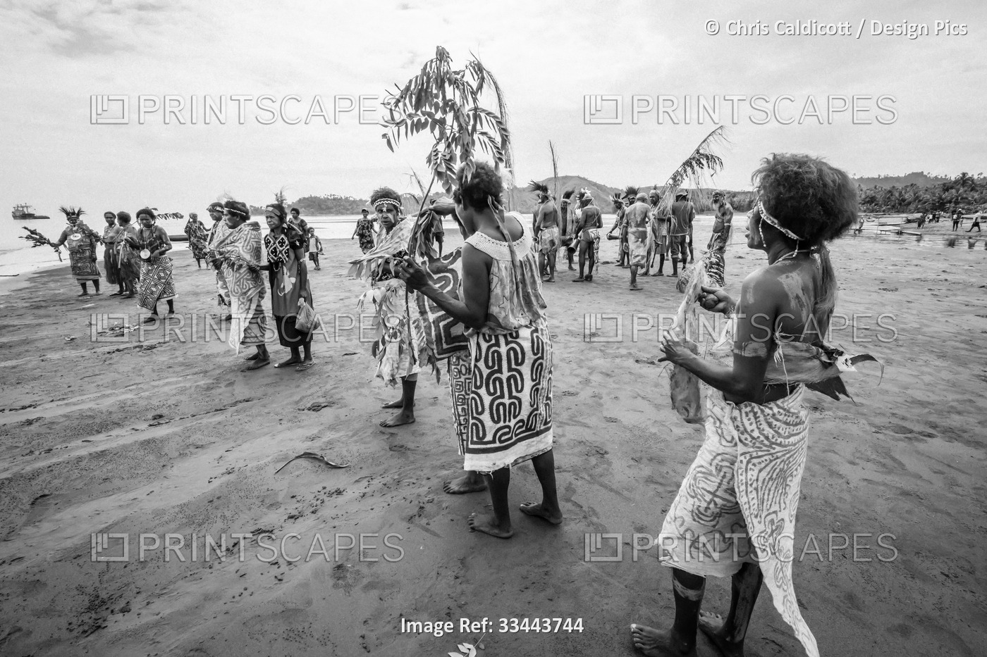 Village women in tapa bark cloth dresses preparing to perform traditional sing ...