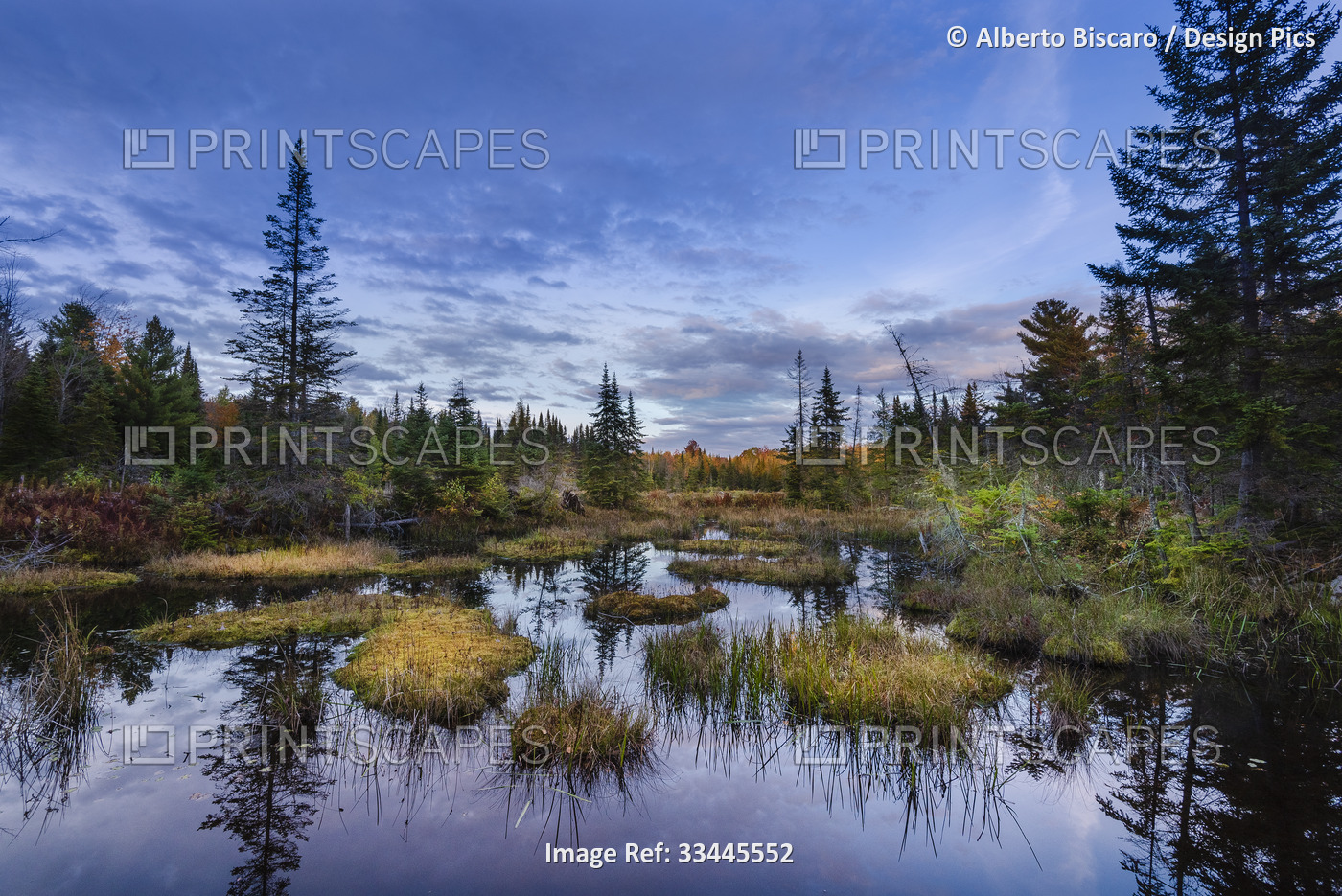 Vibrant colours of a forest along a tranquil river in autumn in the ...