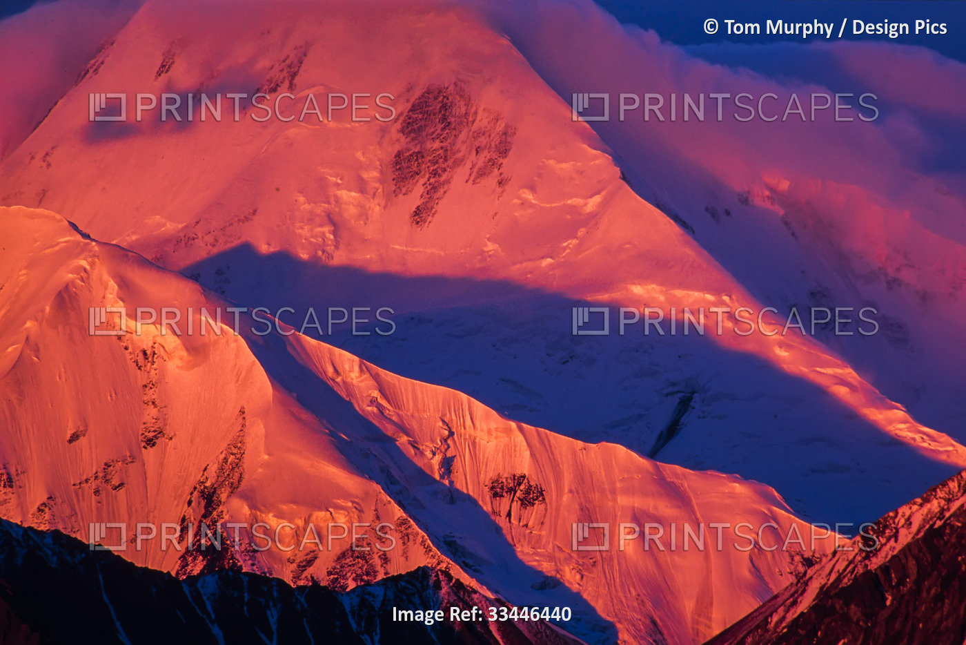 Sunlight reflecting pink light on the snow covered peaks and casting purple ...
