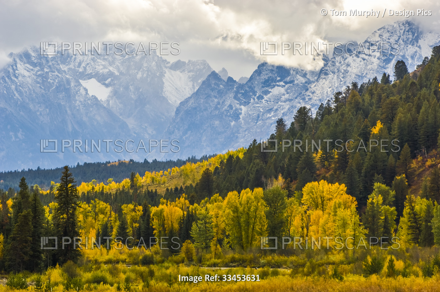 Fall Colors at Pacific Creek in YNP and the Grand Tetons; Grand Teton National ...