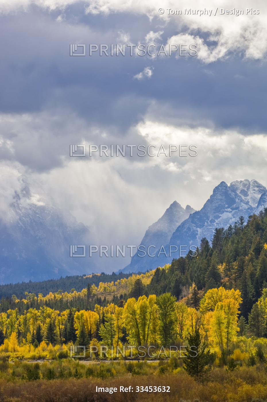 Fall Colors at Pacific Creek in YNP and the Grand Tetons; Grand Teton National ...