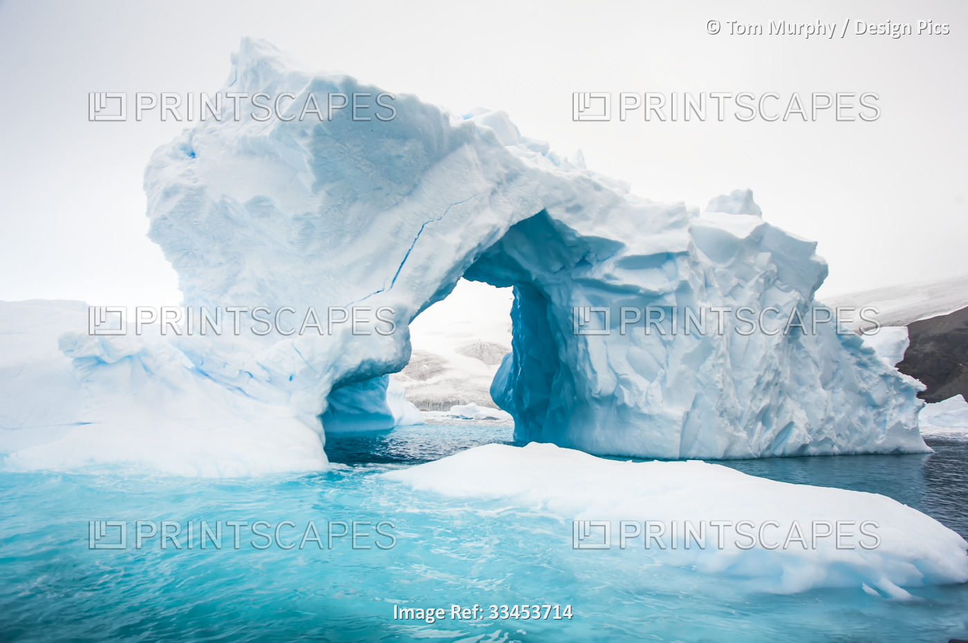Natural arch formation in an iceberg in Cierva Cove of the Southern Ocean; ...