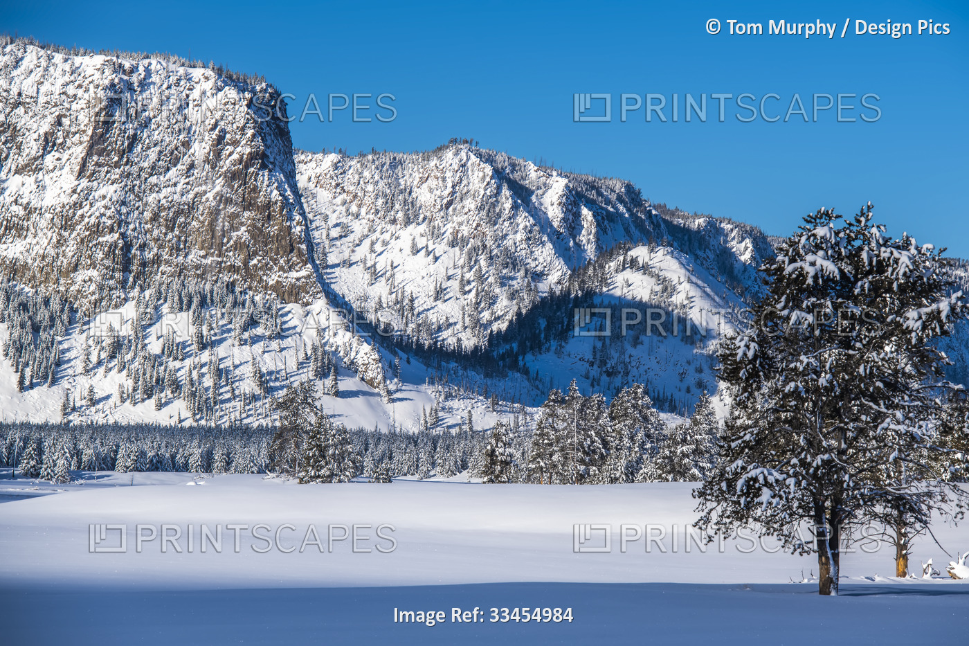 Mountain Haynes against a clear, blue sky alongside the snow-covered Madison ...