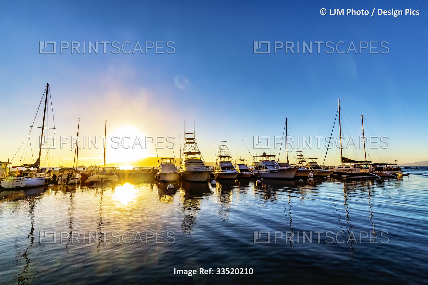 Yachts and sailboats moored in a harbor in Lahaina with the golden sun setting ...