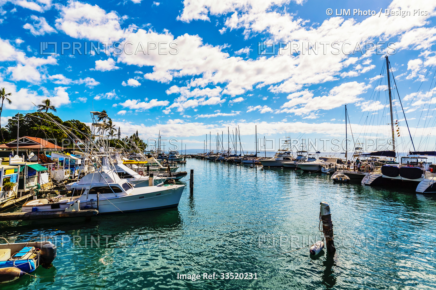 Boats moored in a harbour in Lahaina; Maui, Hawaii, United States of America