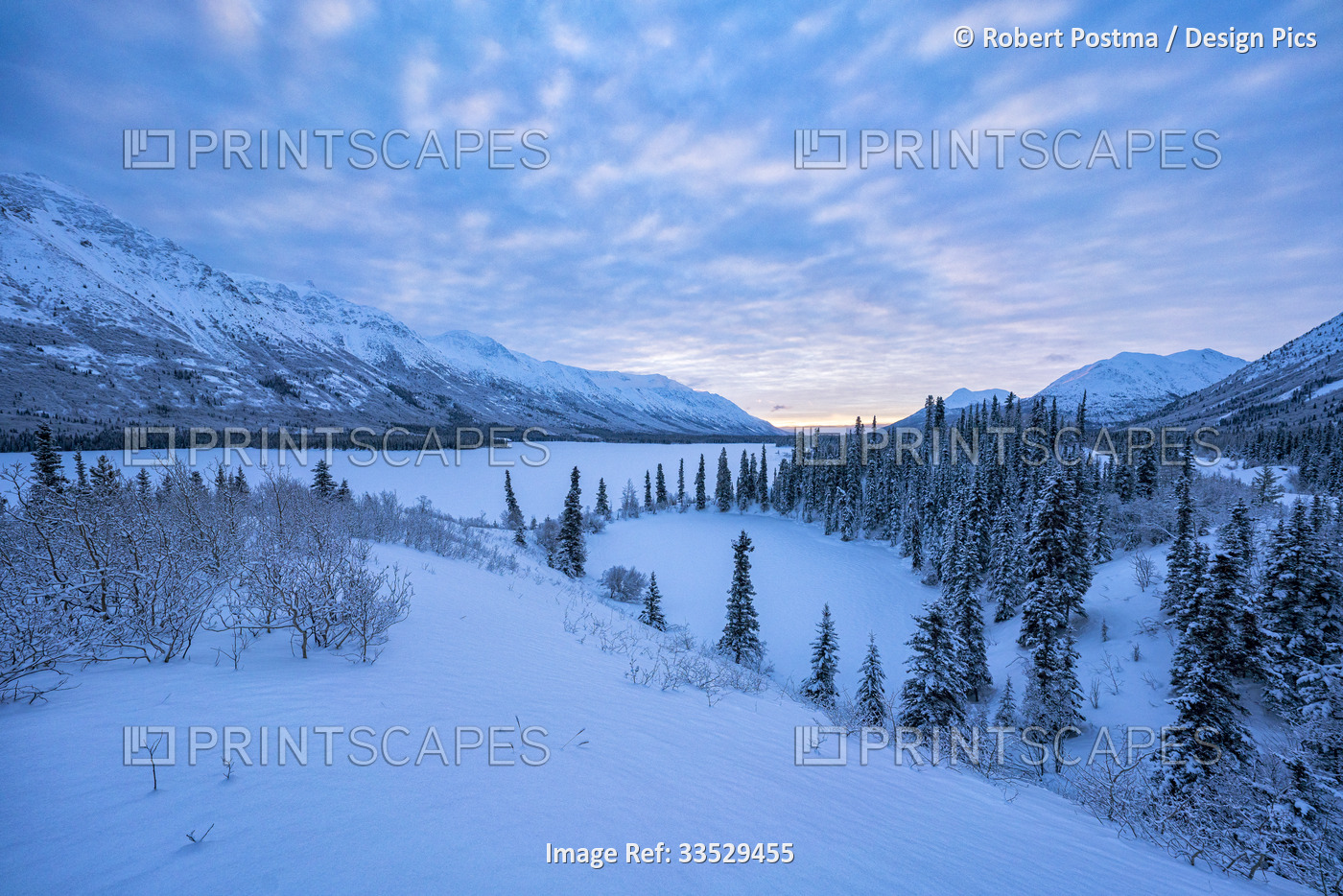Stunning snowy landscape with sunrise over Annie Lake in Winter; Whitehorse, ...