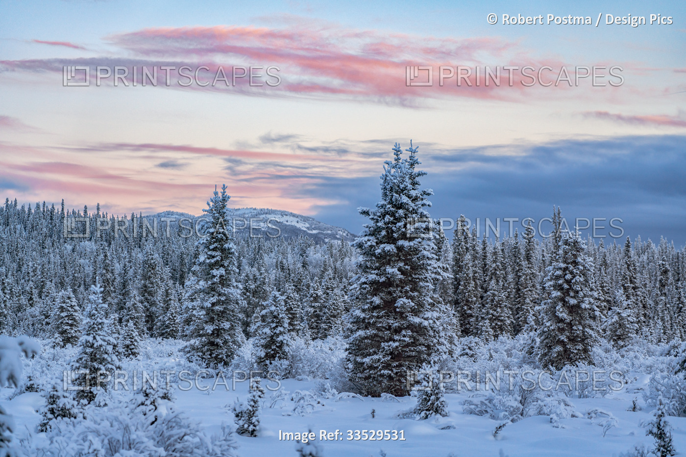 Winter sunrise light with snow-covered trees and mountains in the distance ...