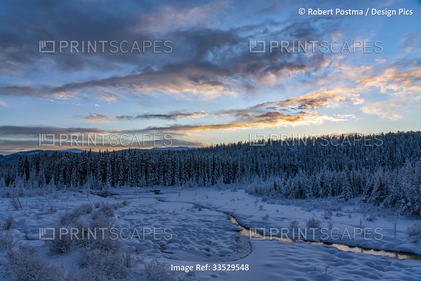 Stunning, snowy landscape with the sun setting over the forest and McIntyre ...