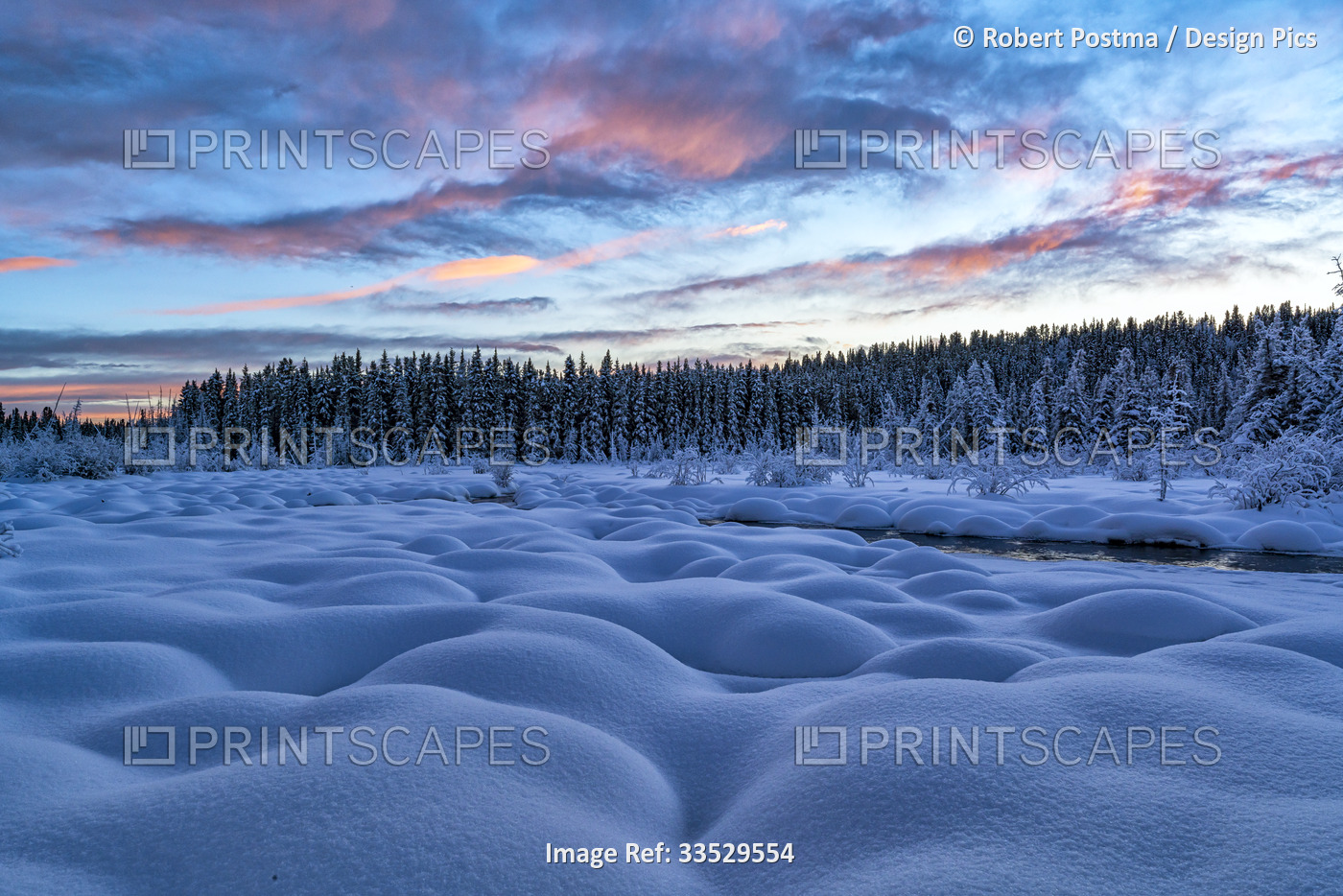 Snowy mounds and conifer forest with sunset illuminating the sky over McIntyre ...