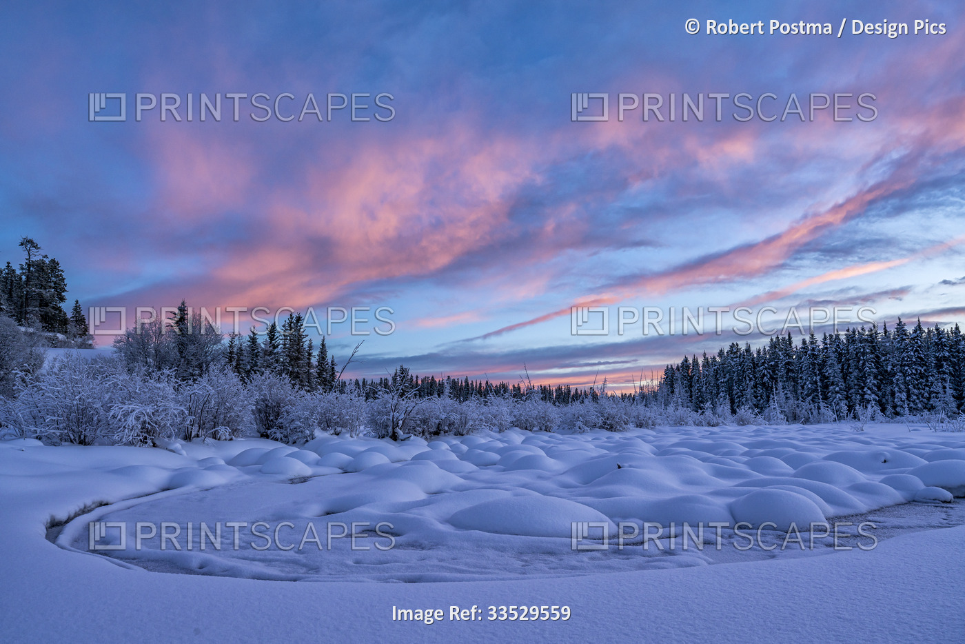 Stunning landscape of snowy mounds and conifer forest with sunset illuminating ...